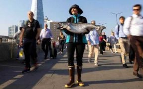 ALASKA SEAFOOD MARKS WILD SALMON SEASON