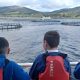 ARGYLL PUPILS GET HANDS-ON TASTE OF SALMON FARMING CAREERS