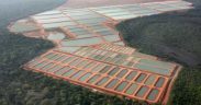 BIONETIX® TECHNOLOGIES IMPROVE FISH GROWTH AND WATER QUALITY
