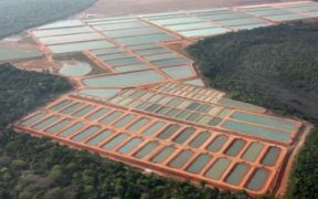 BIONETIX® TECHNOLOGIES IMPROVE FISH GROWTH AND WATER QUALITY
