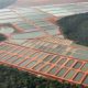 BIONETIX® TECHNOLOGIES IMPROVE FISH GROWTH AND WATER QUALITY