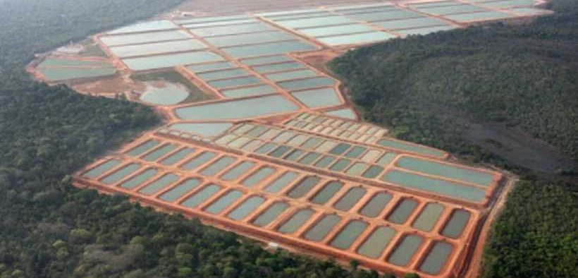BIONETIX® TECHNOLOGIES IMPROVE FISH GROWTH AND WATER QUALITY