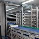 Carsoe Delivers Automated Redfish Processing Line