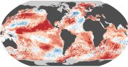 Copernicus reports near-record sea temperatures in warm April