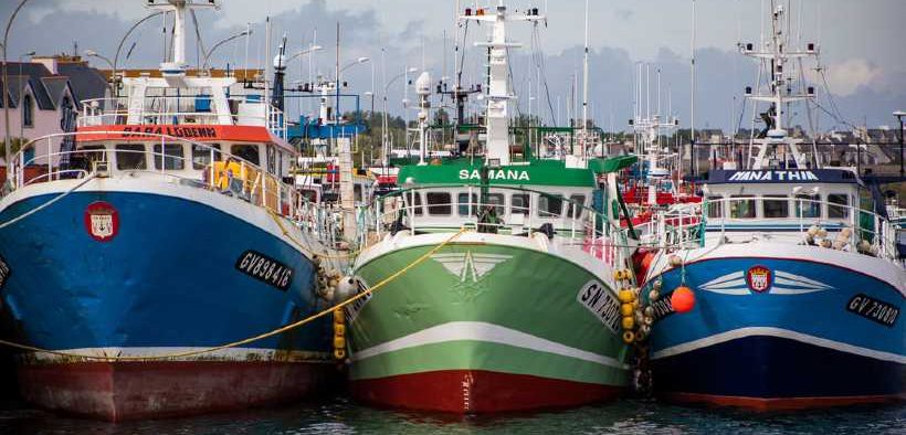 EUROPÊCHE CALLS FOR A TARGETED REVISION OF THE CFP