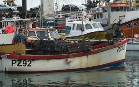 #FISH24 RETURNS