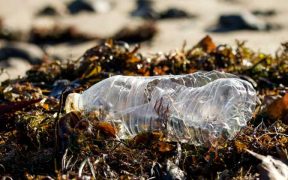 FOOD AND DRINK LITTER DOMINATES GLOBAL PLASTIC POLLUTION