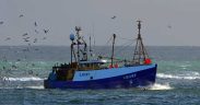 GROUNDING AND SUBSEQUENT LOSS OF FISHING VESSEL