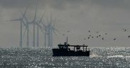 INTERACTIONS BETWEEN OFFSHORE WIND FARMS AND FISHERIES
