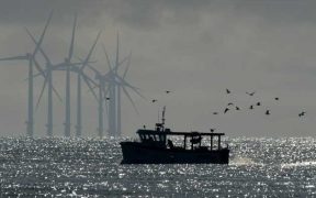 INTERACTIONS BETWEEN OFFSHORE WIND FARMS AND FISHERIES