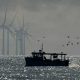 INTERACTIONS BETWEEN OFFSHORE WIND FARMS AND FISHERIES