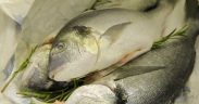 IRAN WAR’S IMPACT ON FOOD SUPPLY CHAINS