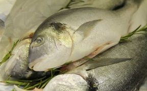 IRAN WAR’S IMPACT ON FOOD SUPPLY CHAINS