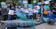 MARINE WILDLIFE AND CONSERVATION GROUPS STAGE DÁIL RALLY