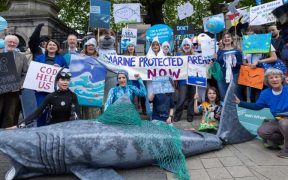 MARINE WILDLIFE AND CONSERVATION GROUPS STAGE DÁIL RALLY