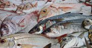 NEW BENCHMARK EXPOSES MATERIAL ENVIRONMENTAL AND SOCIAL RISKS (2)