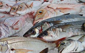 NEW BENCHMARK EXPOSES MATERIAL ENVIRONMENTAL AND SOCIAL RISKS (2)