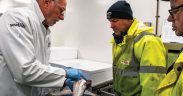 New E-Auction introduced at Peterhead Fish Market