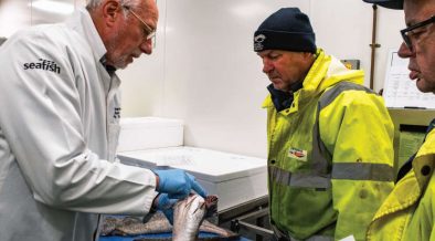 New E-Auction introduced at Peterhead Fish Market