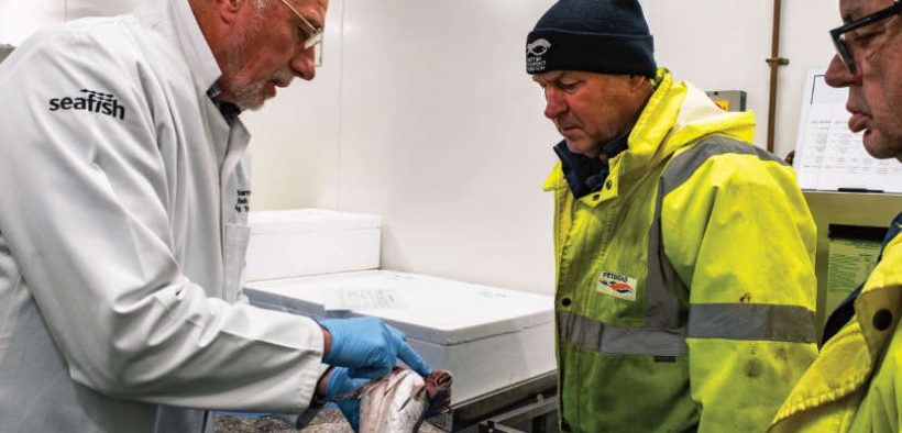New E-Auction introduced at Peterhead Fish Market