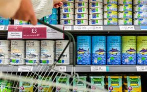 ONE IN TWO TINS OF TUNA LABELLED SUSTAINABLE