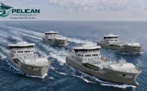 PELICAN AQUA HOLDING PLC (1)