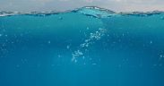 PML BACKS CALL FOR SAFEGUARDS ON EMERGING OCEAN CARBON REMOVAL
