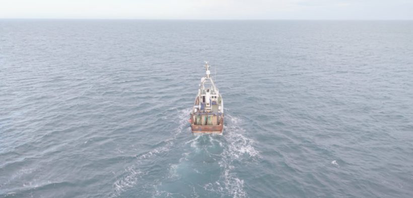 Polar Systems Launches World’s First Automated Langoustine System