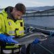 SCOTTISH SALMON EXPORTS SOAR TO £6 BILLION OVER DECADE