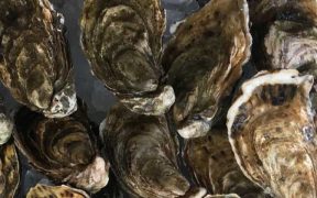 SCOTTISH SHELLFISH FARM PRODUCTION SURVEY 2025