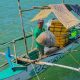 SEAFDEC AQD BOOSTS NORTHERN ILOILO SEAWEED FARMING