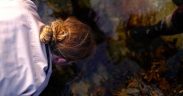UK INVITED TO COMPETE IN NATIONWIDE ROCK POOLING CHALLENGE