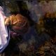UK INVITED TO COMPETE IN NATIONWIDE ROCK POOLING CHALLENGE