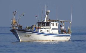 UNTAPPED DECARBONISATION POTENTIAL OF SMALL-SCALE FISHERIES