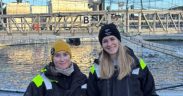 WELLFISH TECH AND BUE SALMON RENEW PARTNERSHIP