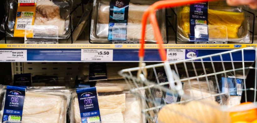 ‘Trailblazer’ Sainsbury’s instrumental in sustainable seafood transformation