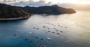 ASC JOINS GLOBAL CALL FOR OCEAN-CENTRED CLIMATE ACTION