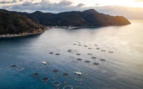 ASC JOINS GLOBAL CALL FOR OCEAN-CENTRED CLIMATE ACTION