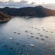 ASC JOINS GLOBAL CALL FOR OCEAN-CENTRED CLIMATE ACTION