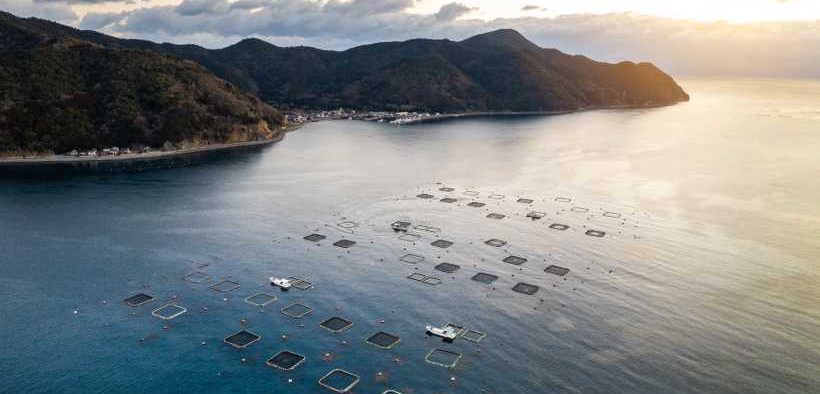ASC JOINS GLOBAL CALL FOR OCEAN-CENTRED CLIMATE ACTION