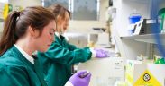 BENCHMARK GENETICS CONTRIBUTES