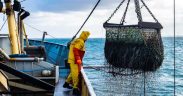BOOSTING FISH STOCK VISIBILITY WITH SATELLITE MONITORING