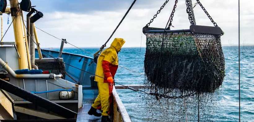 BOOSTING FISH STOCK VISIBILITY WITH SATELLITE MONITORING