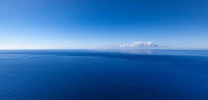 DECLINE IN PLANKTON ACROSS NORTH EAST ATLANTIC