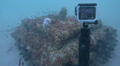 ECOCOAST LAUNCHES ECOREEF NATURE-BASED MOORING BLOCK
