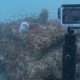 ECOCOAST LAUNCHES ECOREEF NATURE-BASED MOORING BLOCK