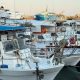 EUROPECHE WELCOMES SIMPLER FISHERIES POLICY