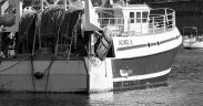 FISHERY COUNCIL CAN CLOSE TRAWL LOOPHOLE