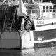 FISHERY COUNCIL CAN CLOSE TRAWL LOOPHOLE