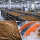 Insect Protein Drives Fish Meal Replacement Growth